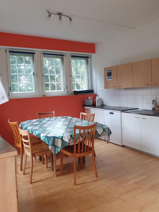 Zentral Gelegene Wohnung Mit Grossem Garten Interlaken Exterior foto