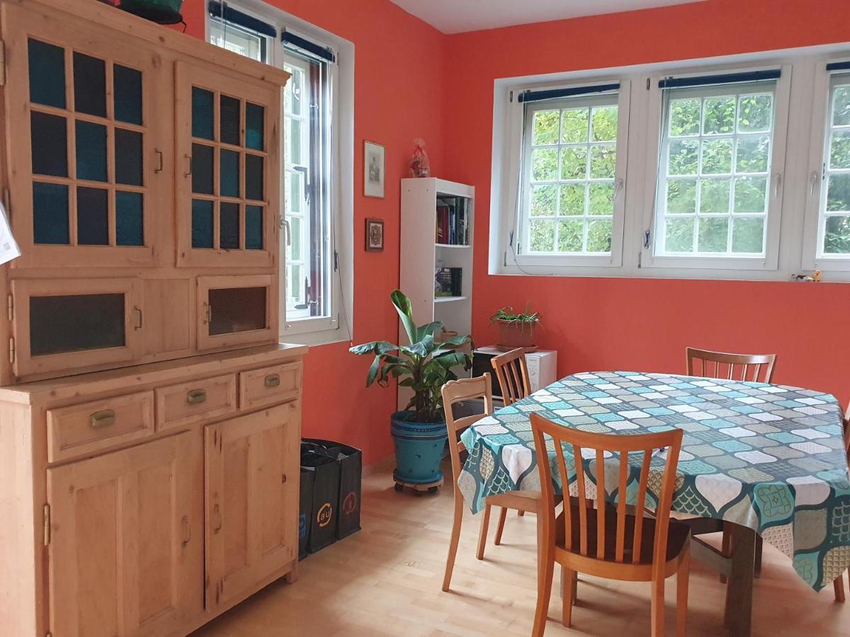 Zentral Gelegene Wohnung Mit Grossem Garten Interlaken Exterior foto